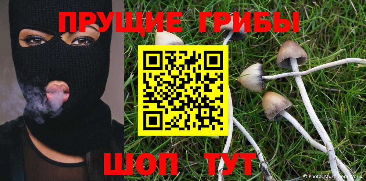 Псилоцибиновые грибы Psilocybine cubensis Лянтор